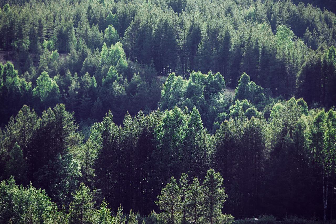 Vuokatti Sport Chalets Kültér fotó