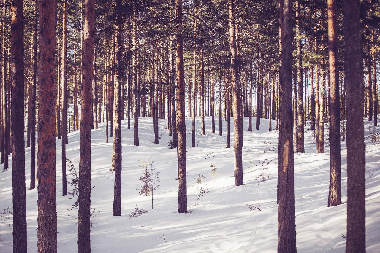 Vuokatti Sport Chalets Kültér fotó